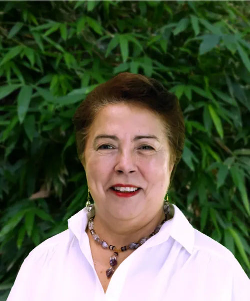 María Soledad Porcell Mancilla